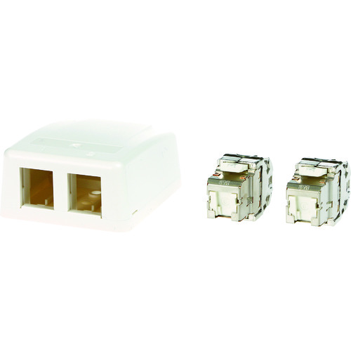 トラスコ中山 コーニング Cat6A RJ45ジャック＋露出型アウトレット(2ポート)（ご注文単位 1セット）【直送品】