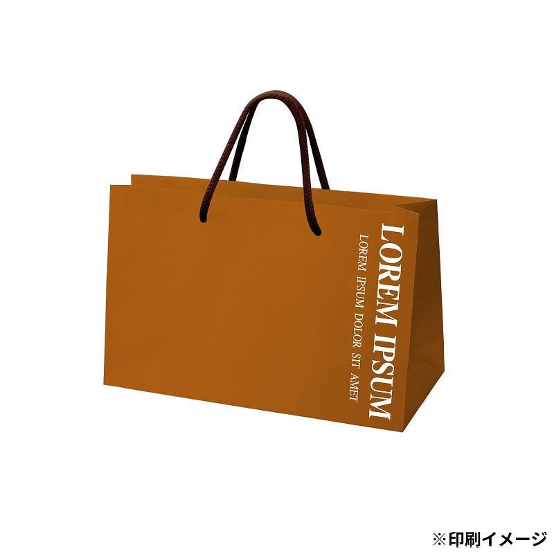 【オリジナル印刷】特注TCB 高級手提げ袋 250×90×180 1色 ベタ有 1000枚