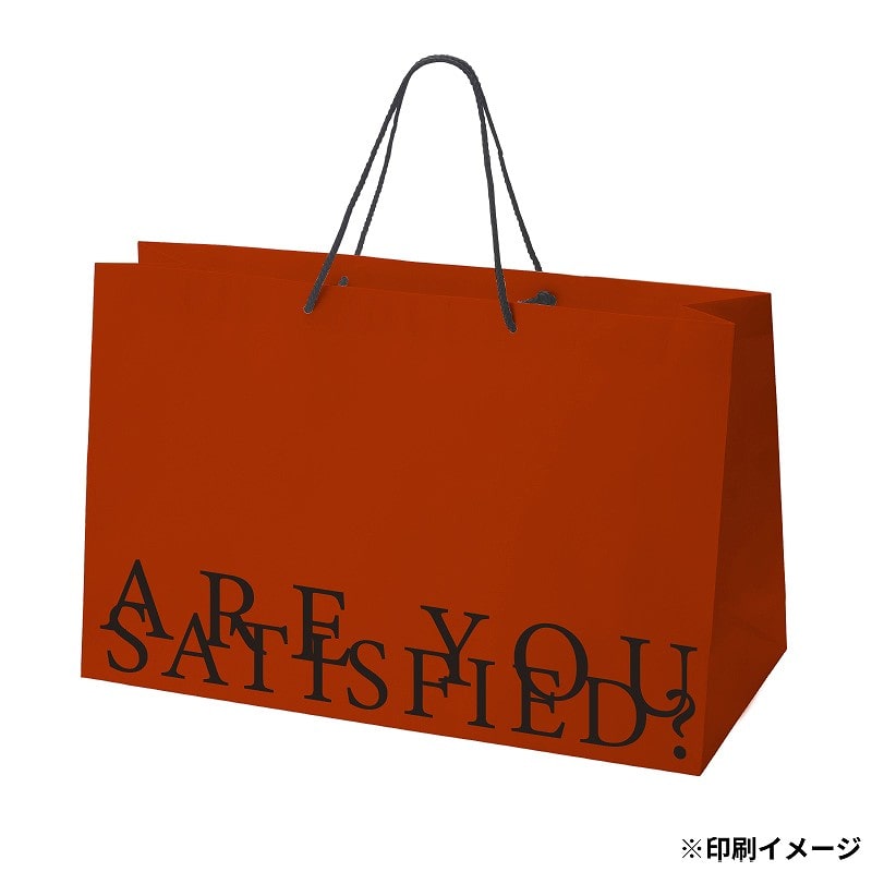 【オリジナル印刷】特注TCB 高級手提げ袋 420×200×300 2色 ベタ有 500枚