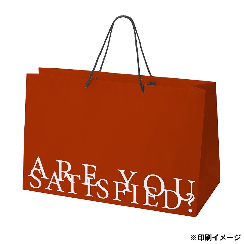【オリジナル印刷】特注TCB 高級手提げ袋 420×200×300 1色 ベタ有 1000枚