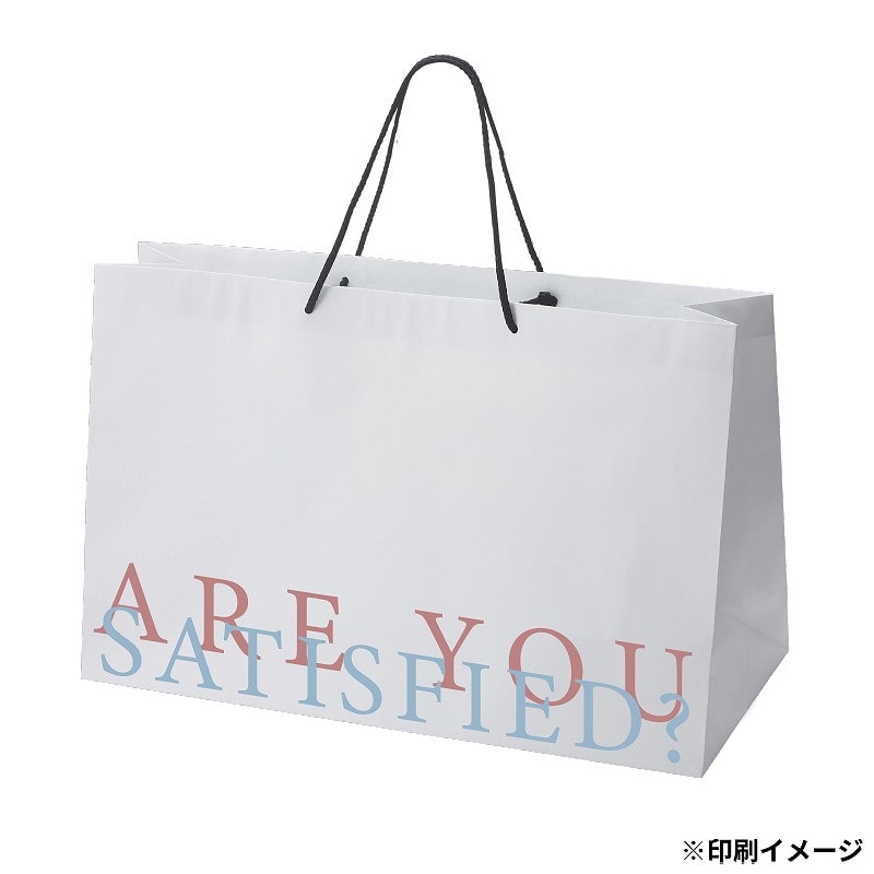 【オリジナル印刷】特注TCB 高級手提げ袋 420×200×300 2色 ベタ無 1000枚