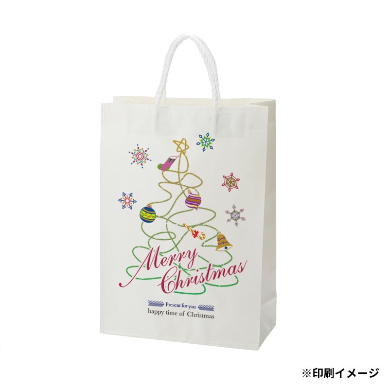 【オリジナル印刷】特注小ロットスムースバッグ　S－100 フルカラー片面印刷 白無地500枚
