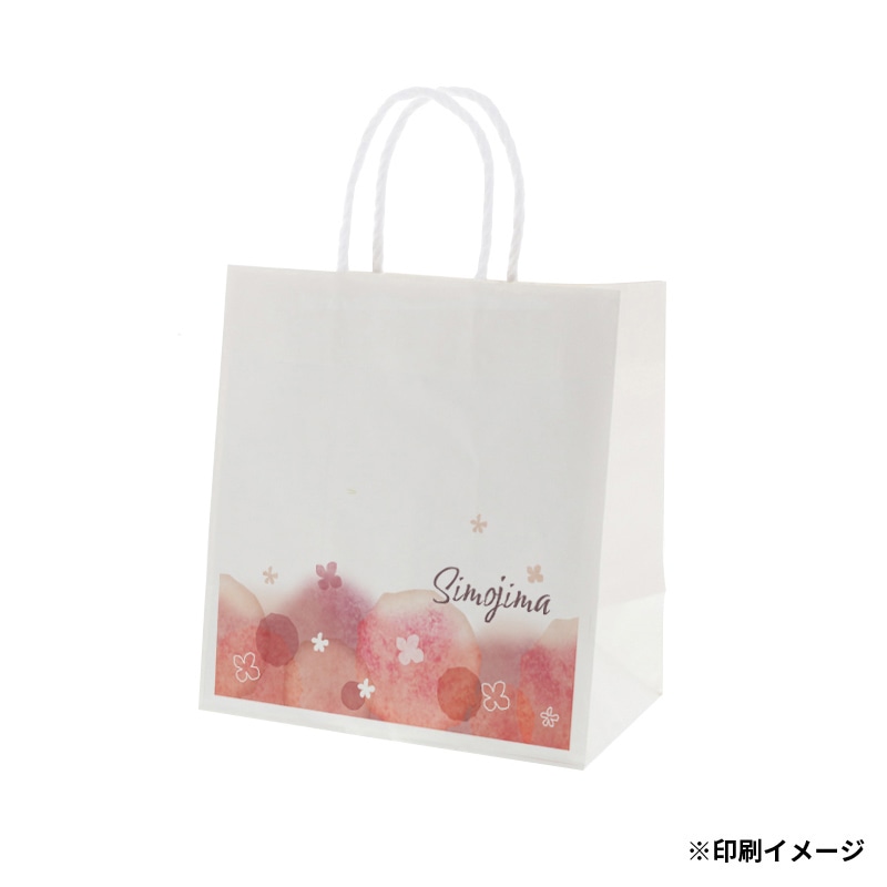 【オリジナル印刷】特注小ロットスムースバッグ　ワイドS フルカラー片面印刷 白無地300枚