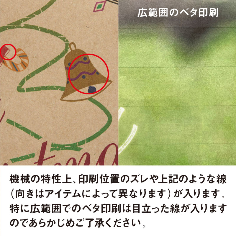 【オリジナル印刷】特注小ロットスムースバッグ 2才 フルカラー片面印刷 未晒無地100枚