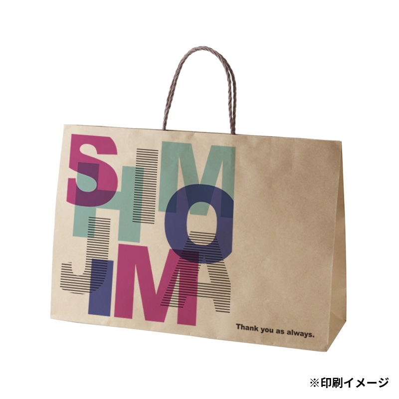 【オリジナル印刷】特注小ロットスムースバッグ　Y－2 フルカラー片面印刷 未晒無地500枚