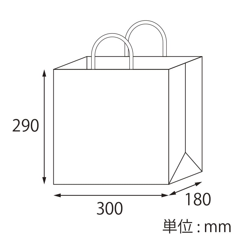 【オリジナル印刷】特注小ロット25チャームバッグ 30-3 フルカラー片面印刷 晒白無地500枚