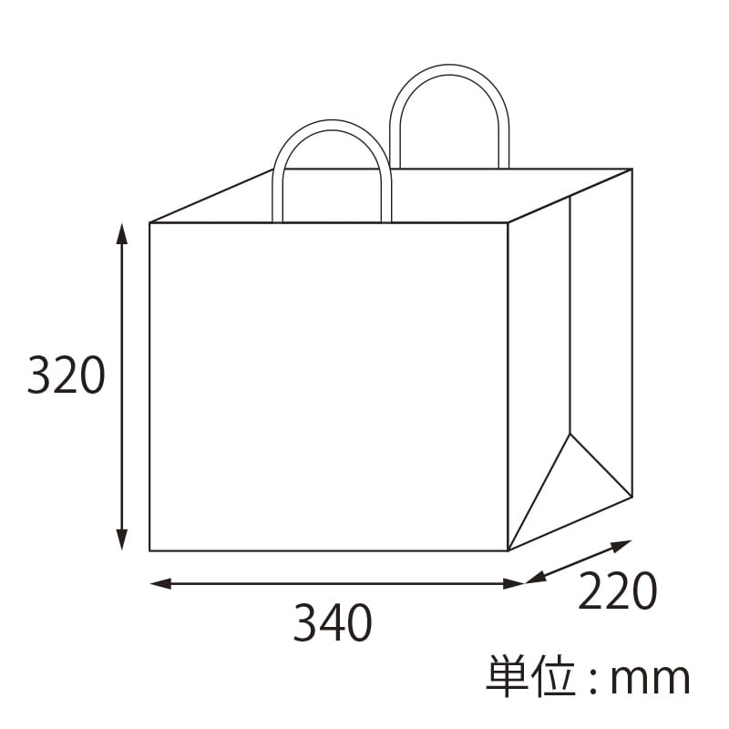 【オリジナル印刷】特注小ロット25チャームバッグ 34-1 フルカラー片面印刷 未晒無地100枚
