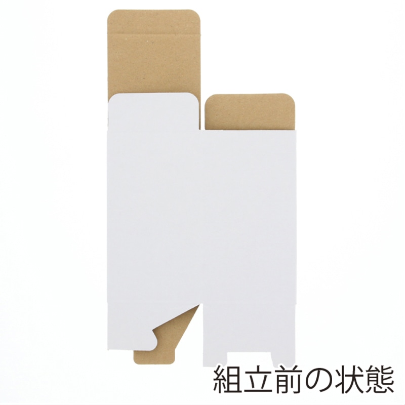 【オリジナル印刷】特注小ロットフリーボックス　F－61 フルカラー片面印刷 F－61　300枚