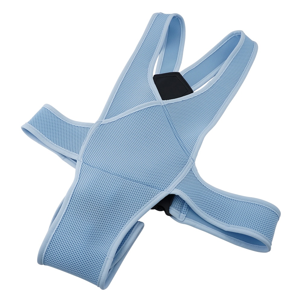 特殊衣料 車椅子ベルト Lサイズ ブルー 4010 1個(ご注文単位1個)【直送品】