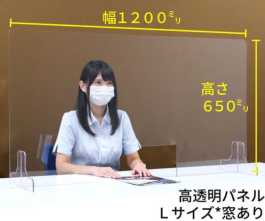 アズワン 透明PET樹脂 飛沫防止パーテーション(窓あり) Lサイズ 650×1200mm 1枚(ご注文単位1枚)【直送品】