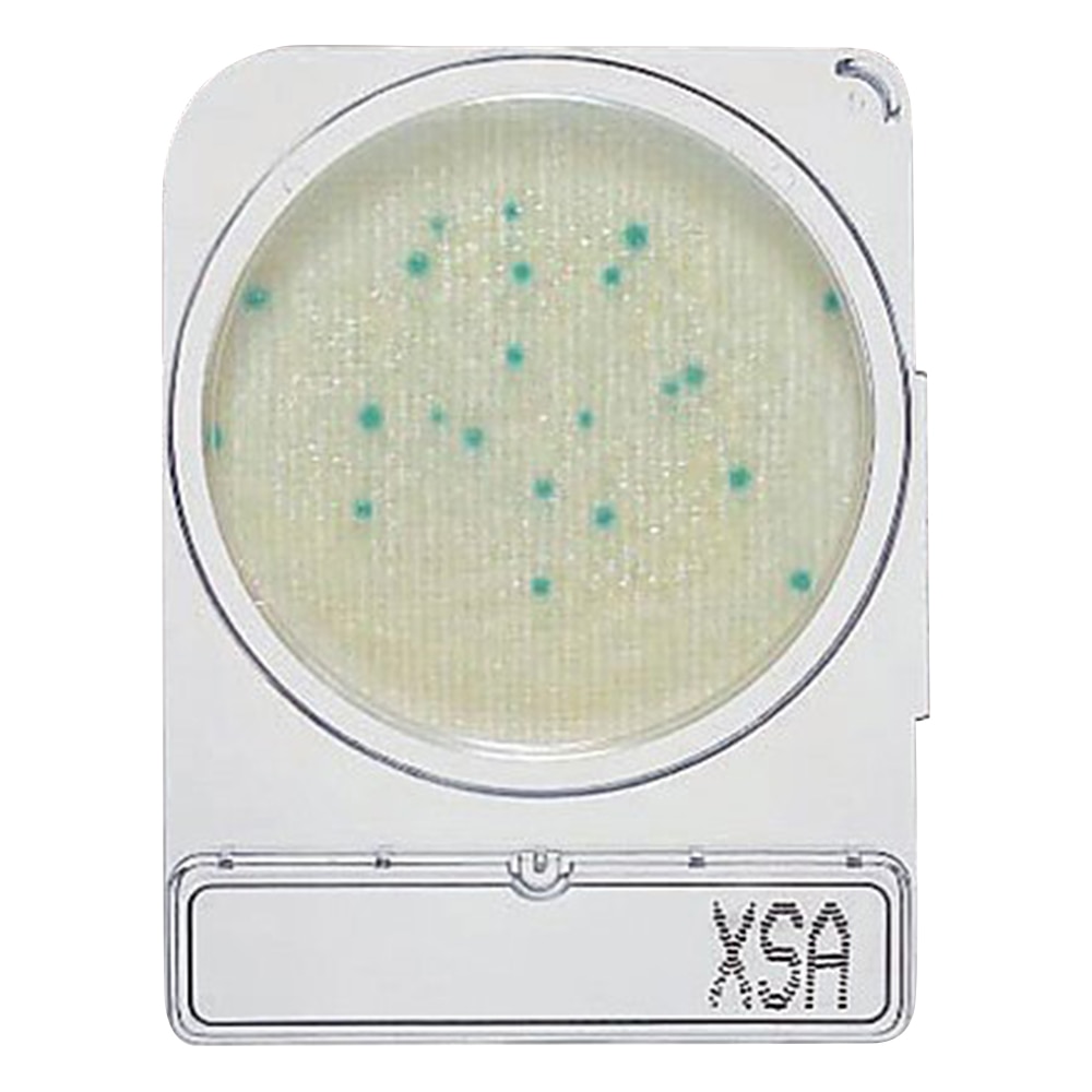 島津ダイアグノスティクス コンパクトドライ (黄色ブドウ球菌測定用/4枚×10袋) 06729 1箱(ご注文単位1箱)【直送品】