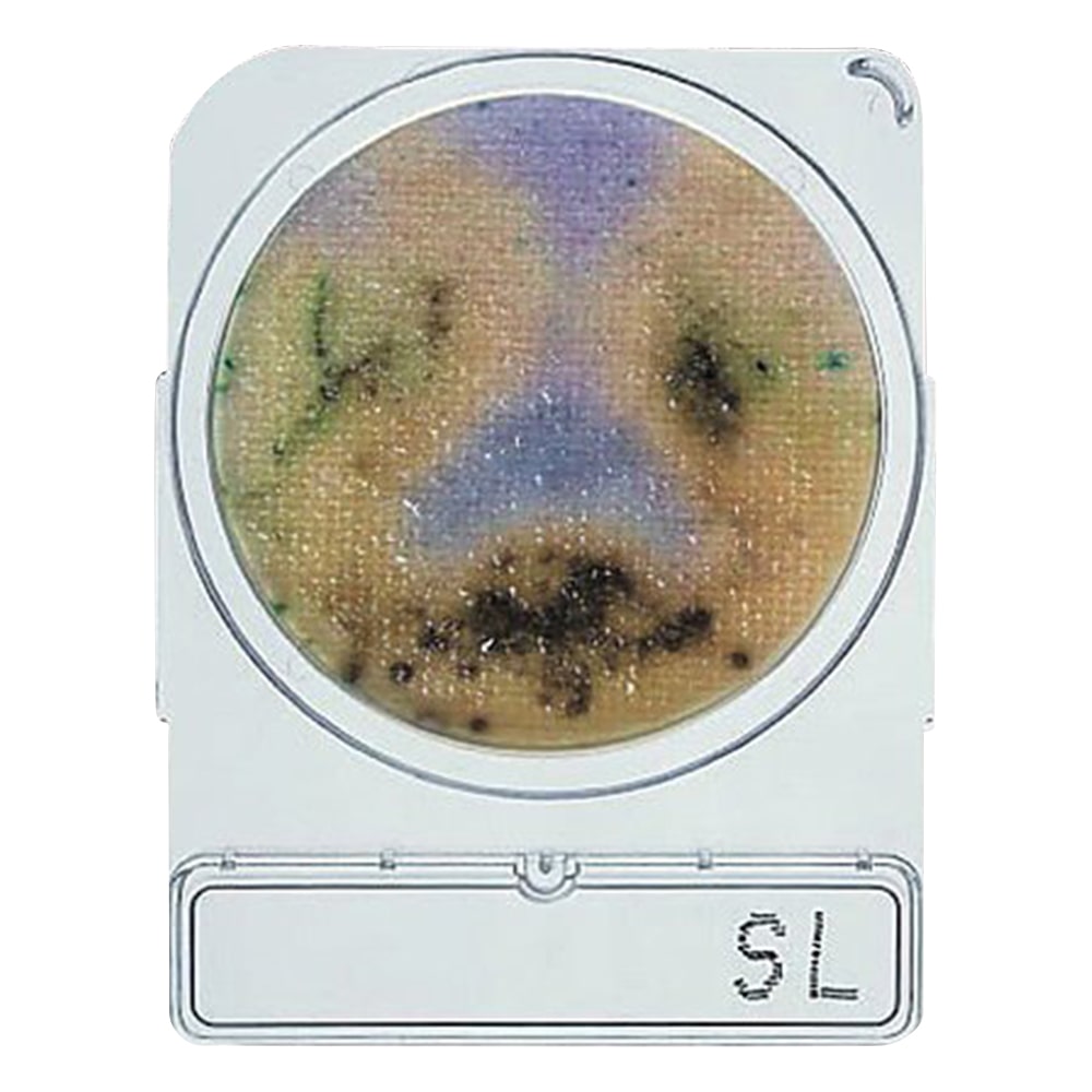 島津ダイアグノスティクス コンパクトドライ SL（サルモネラ属菌測定用）　4枚×10袋　06732 1箱（ご注文単位1箱）【直送品】