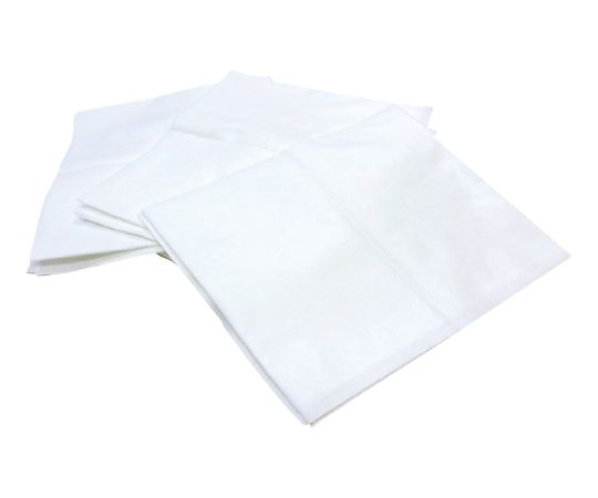 三和紙工 使い捨てバスタオル フキーナー 1袋(10枚入) 10P 1袋(ご注文単位1袋)【直送品】