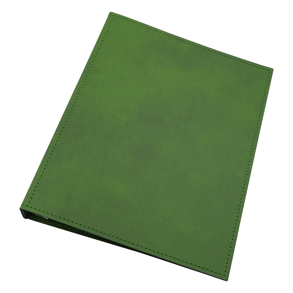 LIHITLAB カルテブック(スタンダード) 4穴タイプ グリーン HB437-3 1冊(ご注文単位1冊)【直送品】