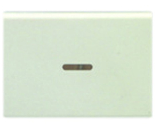 神保電器 操作板 3個用(マークなし) 表示灯付 WJN-GT 1個(ご注文単位1個)【直送品】