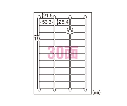エーワン（A-ONE） ラベルシール[レーザープリンタ]水に強いタイプ　31375 1パック（ご注文単位1パック）【直送品】