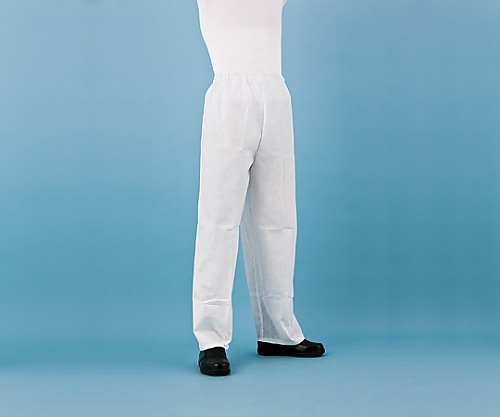 アゼアス AZ GUARDR2200 ズボン SMS製 L AZGUARD2200-L 1着(ご注文単位1着)【直送品】