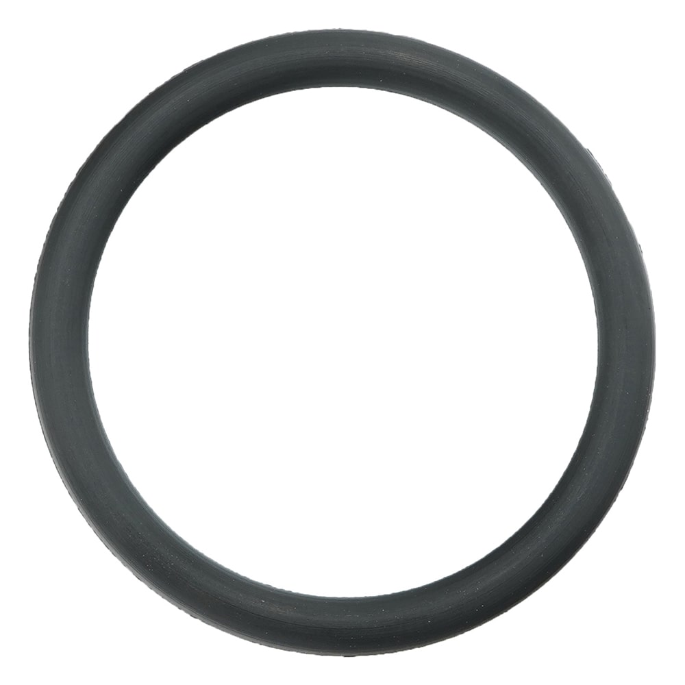 ニチアス フッ素ゴムOリング(フロロプラス(TM)) P-21 1個(ご注文単位1個)【直送品】