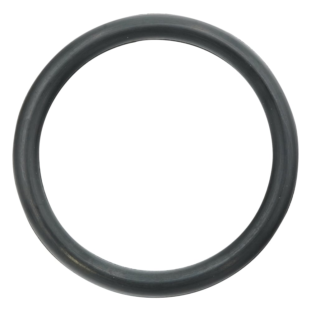 ニチアス フッ素ゴムOリング(フロロプラス(TM)) P-22 1個(ご注文単位1個)【直送品】