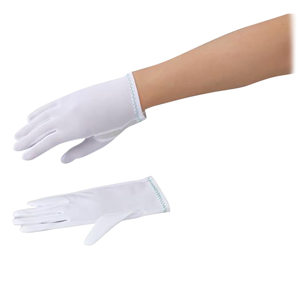 アズピュア（アズワン） アズピュア 防塵手袋 ナイロン BNH-U L 1袋（12双入）　 1袋（ご注文単位1袋）【直送品】