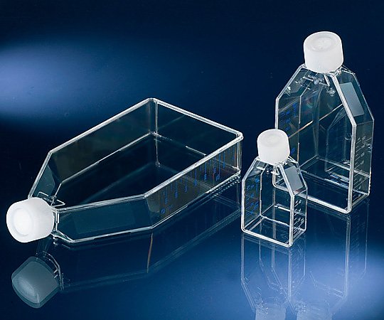 Nalge Nunc (サーモフィッシャーサイエンティフィック) 浮遊細胞用フラスコ 1箱(10個×20包入) 169900 1箱(ご注文単位1箱)【直送品】