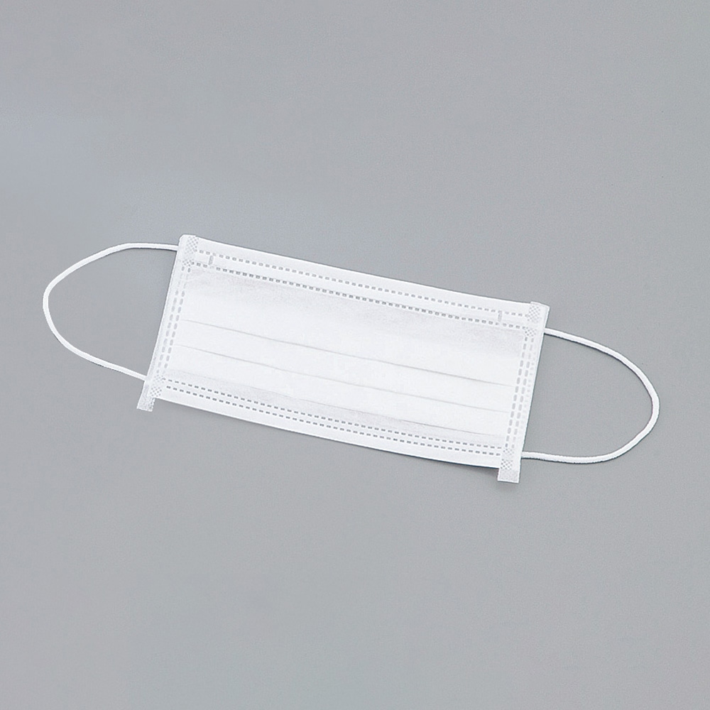 アズワン 3plyディスポマスク 1箱(50枚入) CN102W 1箱(ご注文単位1箱)【直送品】