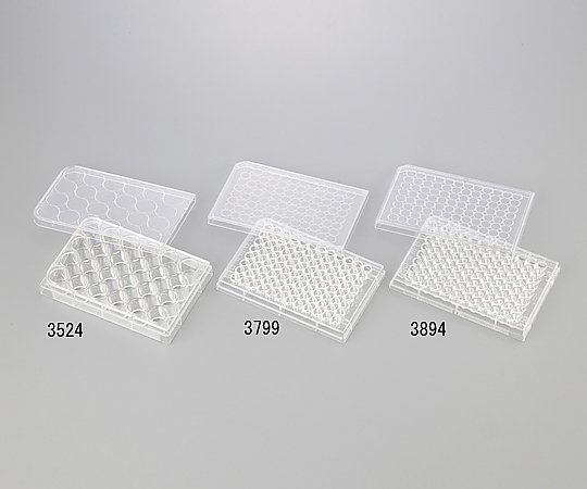 Corning(Falcon) マルチプルウエルプレート 24ウェル 平底 1箱(1枚×100袋入) 3524 1箱(ご注文単位1箱)【直送品】