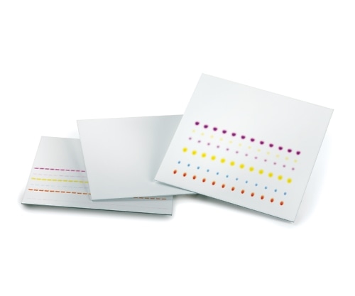 Merck 未修飾TLCプレート（蛍光指示薬F254） 200×200 ガラス 1箱（25枚入）　1.05715.0001 1箱（ご注文単位1箱）【直送品】