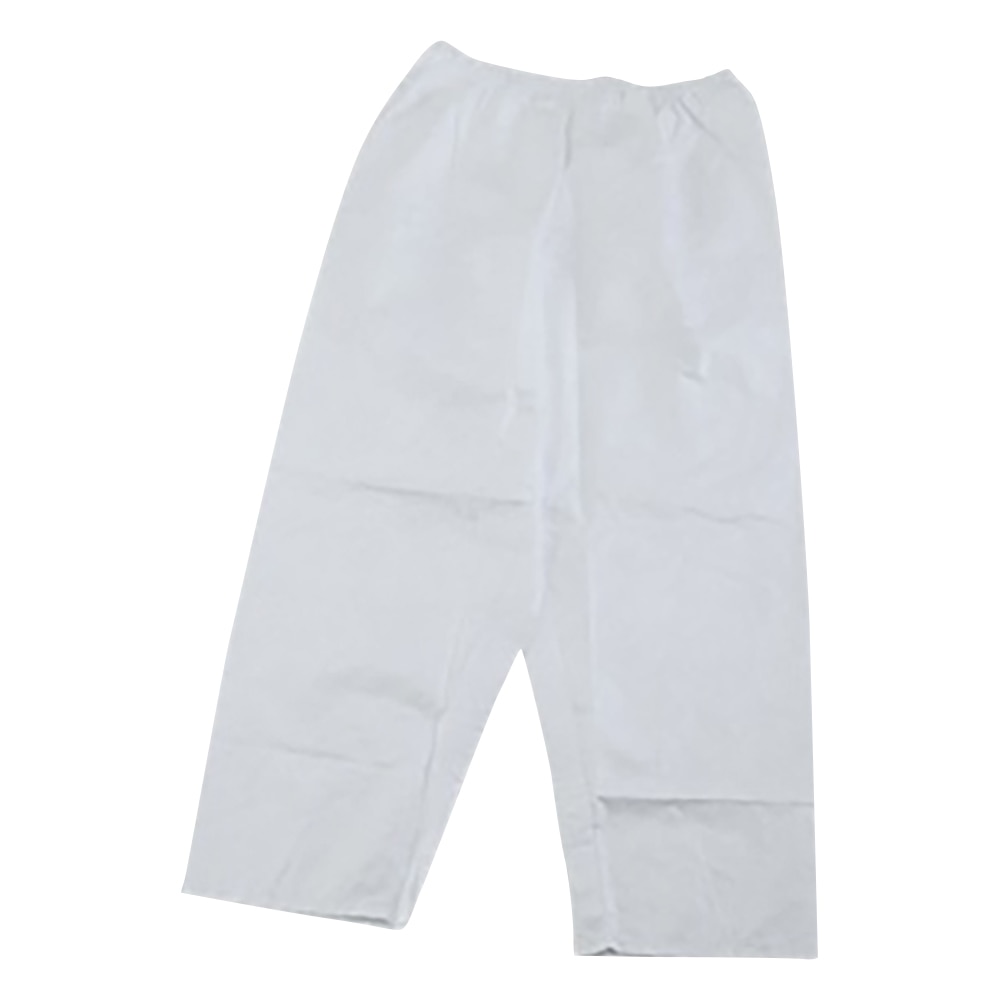 アゼアス デュポンタイベックR製 ズボン L 3580-L 1着(ご注文単位1着)【直送品】