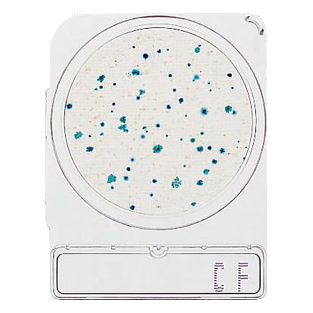 島津ダイアグノスティクス コンパクトドライ　（大腸菌群数測定用／4枚×10袋）　06744 1箱（ご注文単位1箱）【直送品】