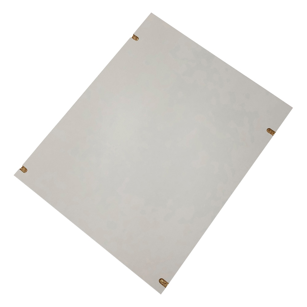 アズワン ダストアウトR（ガラス器具保管庫）　平棚板　 1枚（ご注文単位1枚）【直送品】