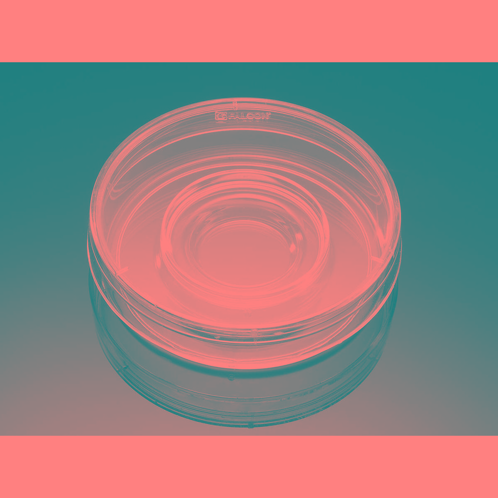 Corning(Falcon) セルカルチャーディッシュ 60×15mm 器官培養用ディッシュ 1ケース(20個×25パック入) 353037 1ケース(ご注文単位1ケース)【直送品】