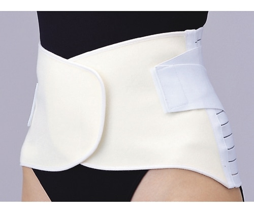 シグマックス マックスベルト R2 4L　321206 1個（ご注文単位1個）【直送品】