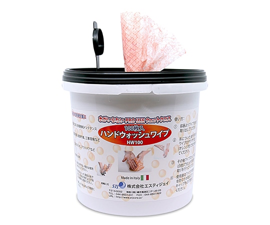 エスティジェイ ハンドウォッシュワイプ 1セット(100枚入) HW100 1セット(ご注文単位1セット)【直送品】