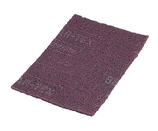 早川工業 ベア・ロン業務用ナイロンたわし (20枚入) B2型 1ケース(ご注文単位1ケース)【直送品】