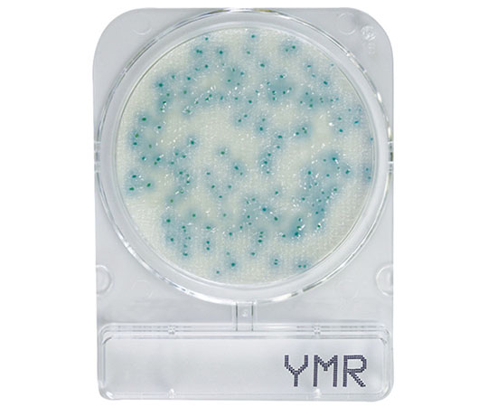 島津ダイアグノスティクス コンパクトドライ YMR（カビ・酵母迅速測定用）　40枚　06777 1箱（ご注文単位1箱）【直送品】