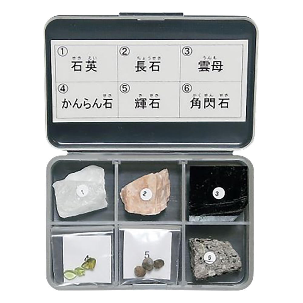 東京サイエンス 岩石標本(岩石標本造岩鉱物6種) 1セット(ご注文単位1セット)【直送品】