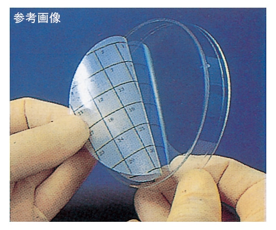 Diversified Biotech ペトリステッカー 正方形50分画 1個(36枚入) PSTK-1050 1個(ご注文単位1個)【直送品】