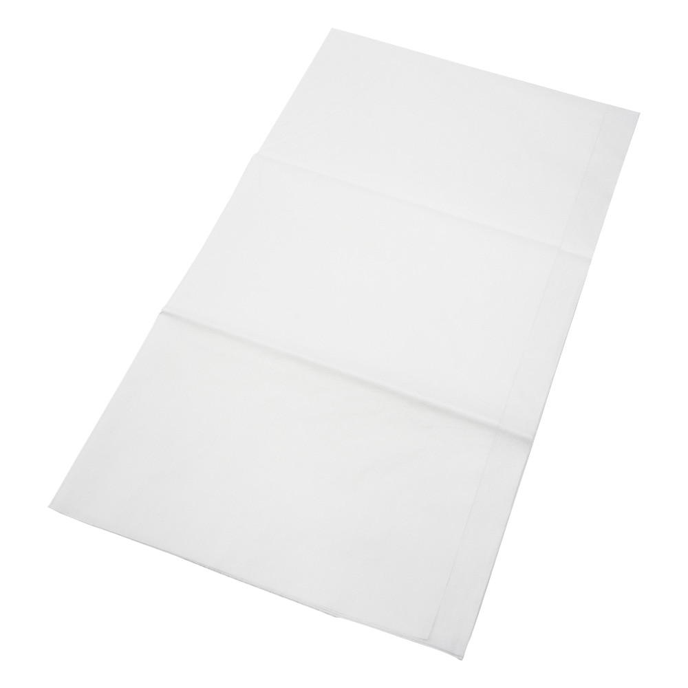 AITEX ディスポシーツ 小袋(10枚入) ADS-910-1 1パック(ご注文単位1パック)【直送品】