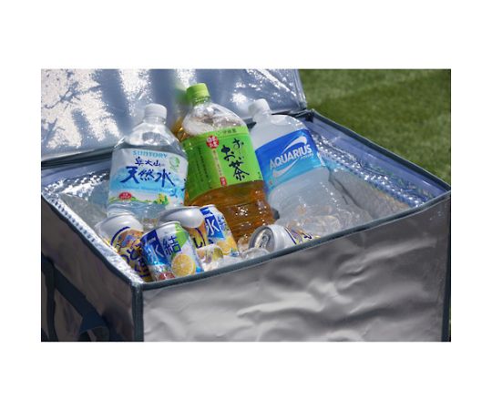 アズワン 超保冷クーラーBOX マグネットタイプ 50LTCBM-50 1個 (ご注文単位1個) 【直送品】