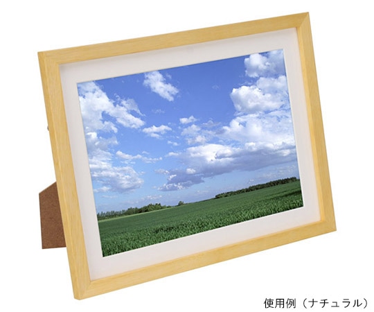 ハクバ写真産業 木製額縁 MM-01 A4サイズ アクリル スタンド付 ホワイトFWMM01-WTA4A 1個 (ご注文単位1個) 【直送品】