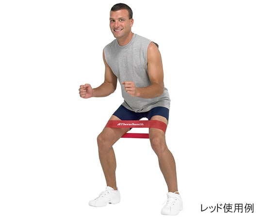 D&M セラバンド ループ (ブリスターパック) TLB-2 レッド#TLB-2 1個 (ご注文単位1個) 【直送品】