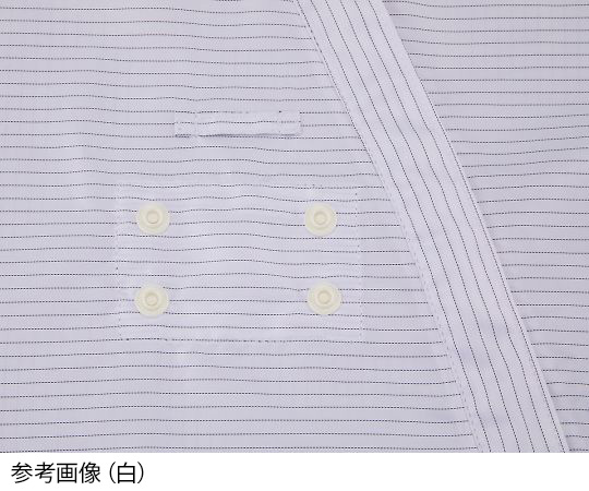 アズワン アズピュアクリーンスーツⅡ (フード別・サイドファスナー型) 青 L 1枚 (ご注文単位1枚) 【直送品】