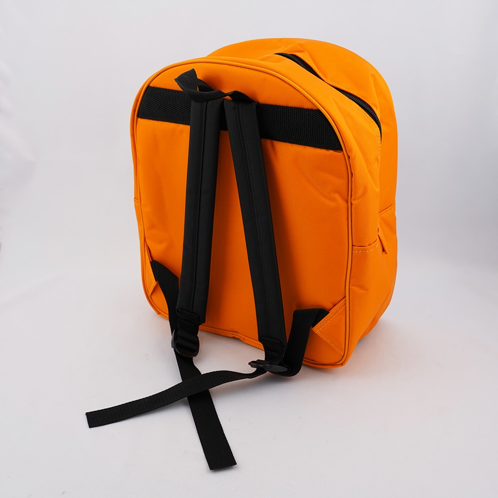 アズワン 救急・応急処置用バッグ［透明・耐寒タイプ］ リュック・中 1個 (ご注文単位1個) 【直送品】