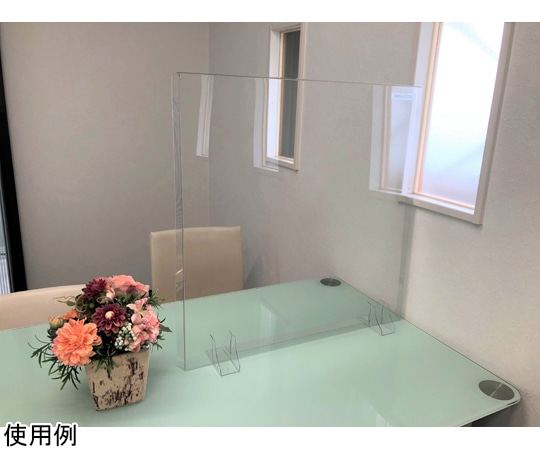 第一大宮 ドゥ・ウォール 透明 台置・差込兼用 690mm×120mm×700mm 1セット (10枚入) DWT4-0770S 1セット (ご注文単位1セット) 【直送品】