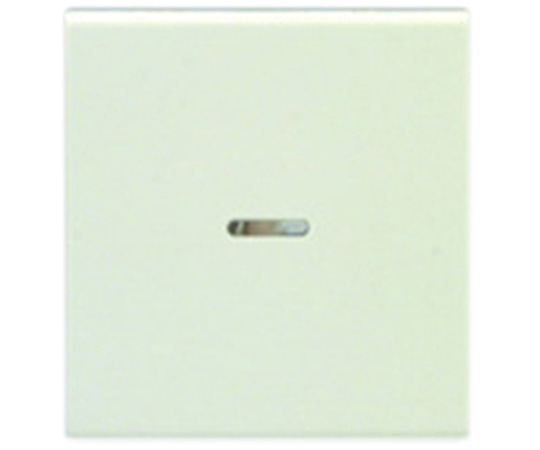 神保電器 操作板 2個用 (マークなし) 表示灯付WJN-GD 1個 (ご注文単位1個) 【直送品】