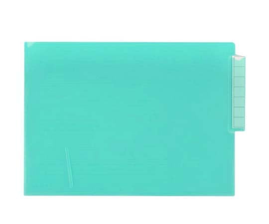 アズワン カラーカルテフォルダー (シングル) クリスタルグリーン 1箱 (50枚入) HK708-19 1箱 (ご注文単位1箱) 【直送品】