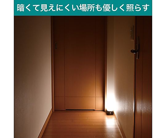 ELPA もてなしライト 84×151×88mmHLH-2204 1個 (ご注文単位1個) 【直送品】