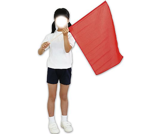 アーテック 大旗 (590×440) 赤1735 1箱 (ご注文単位1箱) 【直送品】