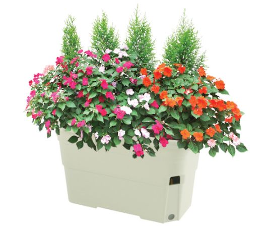 リッチェル うるオン プランター 65型 アイボリー70314 1個 (ご注文単位1個) 【直送品】